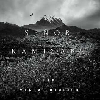 Señor Kamisaki by Pachamama Familia Bolivia