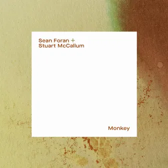 Monkey by Sean Foran