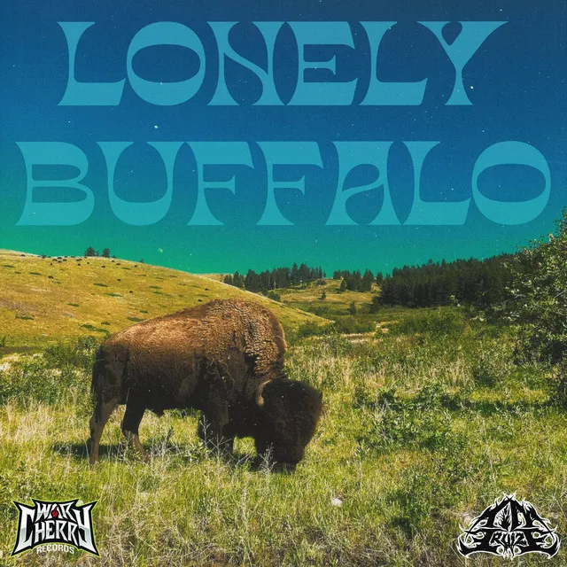 LONELY BUFFALO