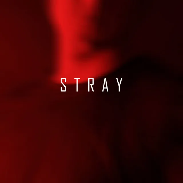 Stray