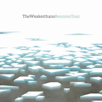 Reunion Tour by The Weakerthans