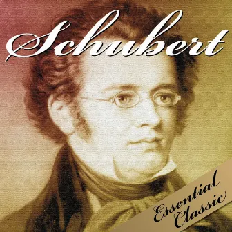 Schubert: Essential Classic by Maciej Korczaky