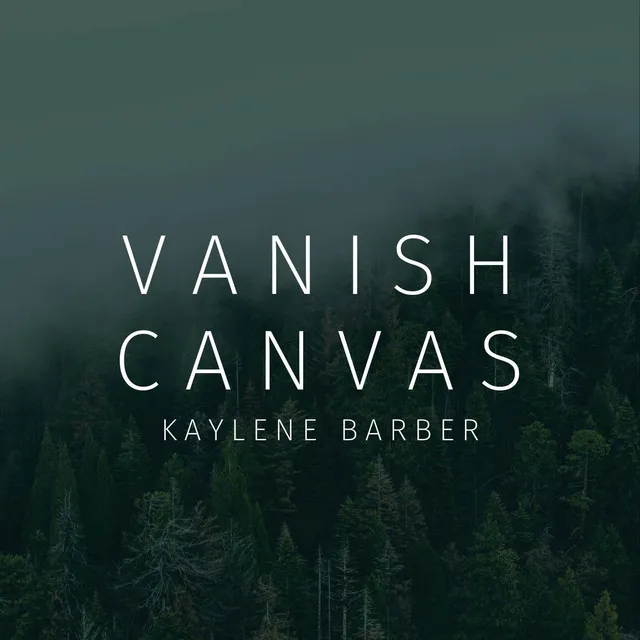 Vanish Canvas - Acoustic Version