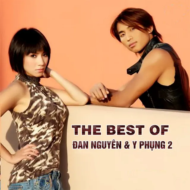 The best of Đan Nguyên và Y Phụng 2 (Instrumental)