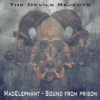 Sound From Prison by Mad Elephant