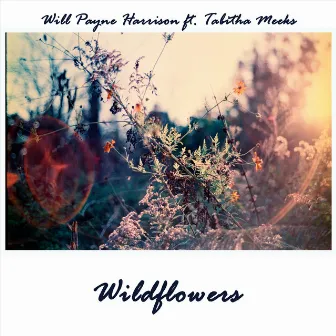 Wildflowers by Will Payne Harrison