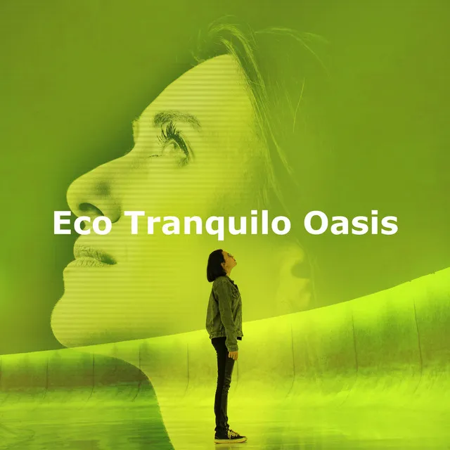 Eco Tranquilo Oasis