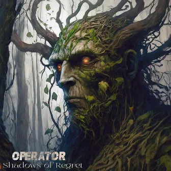 Shadows of Regret by Operator