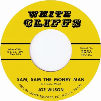 Sam Sam the Money Man by Joe Wilson