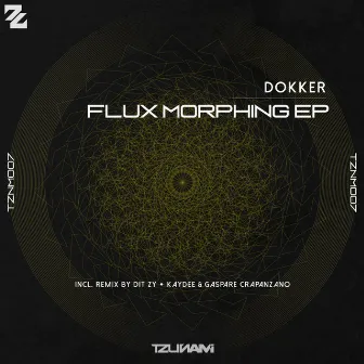 Flux Morphing EP by Dokker