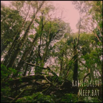 Rainforest by Meep.bat