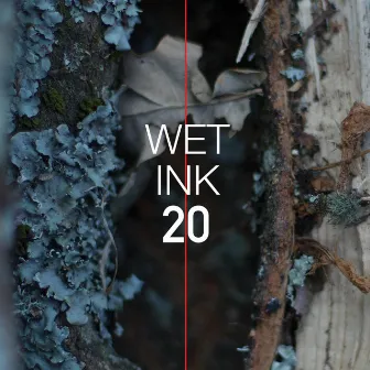 Wet Ink 20 by Wet Ink Ensemble