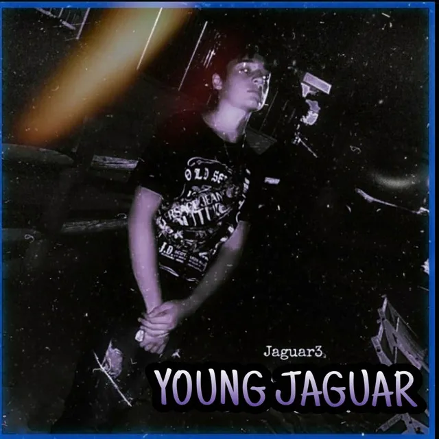 Young Jaguar