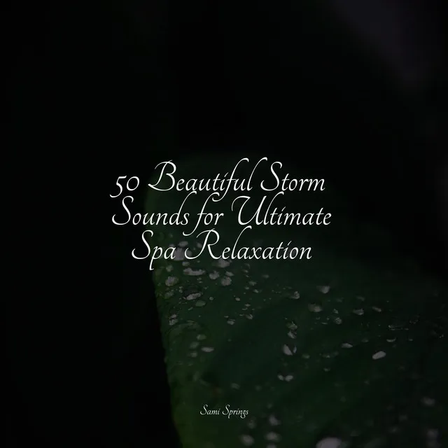 50 Perfect Rain Sounds for Meditation