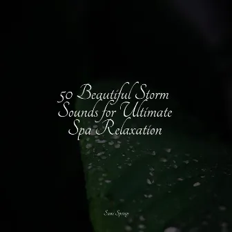 50 Perfect Rain Sounds for Meditation by Mother Earth Sounds