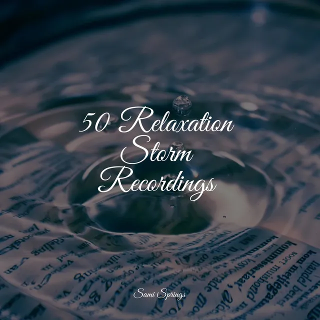 50 Relaxation Storm Recordings