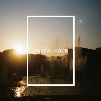 Plastic Night by ANIMAL HACK