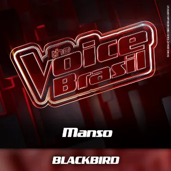 Blackbird (Ao Vivo) by Manso