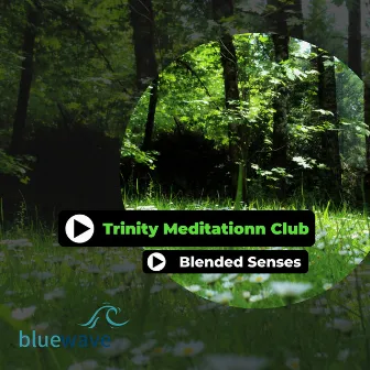 Blended Senses by Trinity Meditationn Club