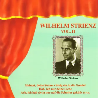 Wilhelm Strienz Vol. II by Wilhelm Strienz