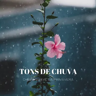 Tons De Chuva: Chuva Suave Da Primavera by Sons de água