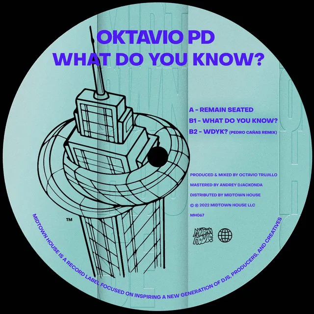 What Do You Know? - Pedro Cañas Remix