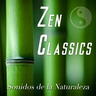 Zen Classics - Música Tradicional Asiática con los Sonidos de la Naturaleza by Moon Salutation