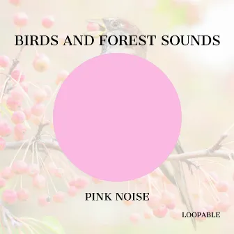 Birds and Forest Sounds for Relaxation with Pink Noise, Loopable by Pink Noise Playlist