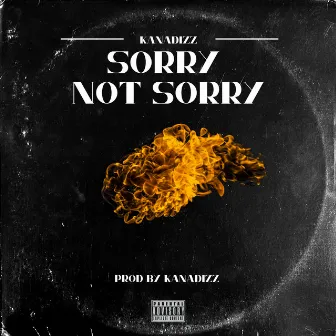 Sorry Not Sorry (Radio Edit) by Kanadizz