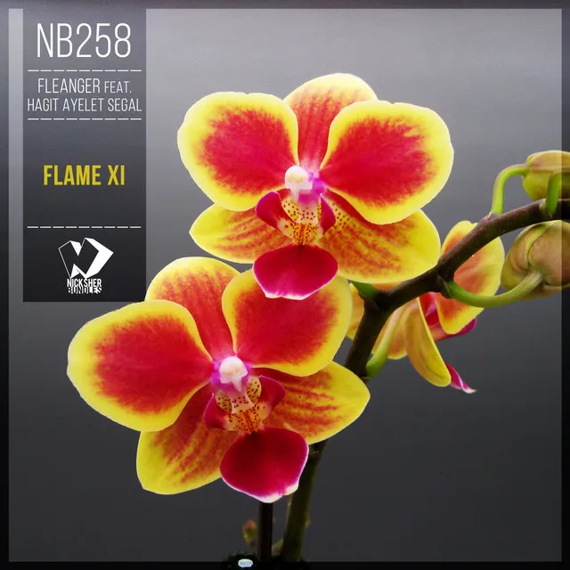 Flame Xi - Original Mix