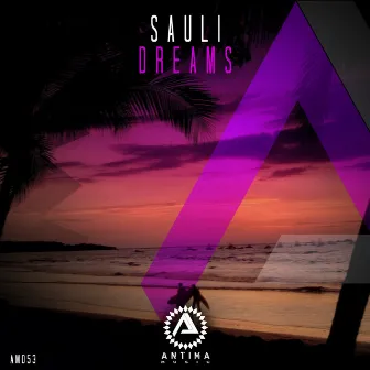 Dreams by Sauli