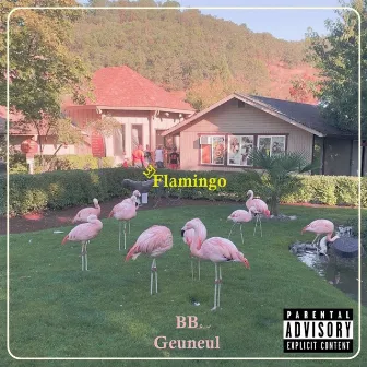 Flamingo by BB