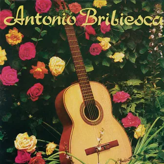 Antonio Bribiesca by Antonio Bribiesca