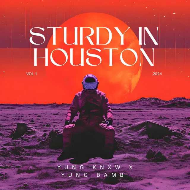 Sturdy In Houston