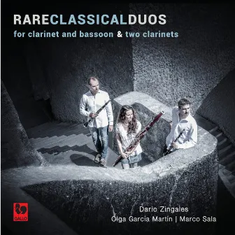 Franz Wilhelm Tausch - Franz Anton Hoffmeister - François René Gebauer: Rare Classical Duos by Dario Zingales