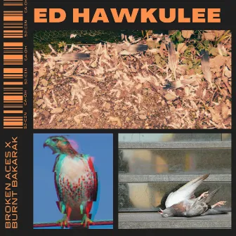 ED HAWKULEE by Burnt Bakarak