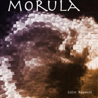 Morula by Colin Rayment