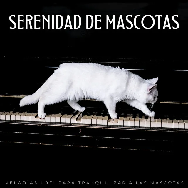 Serenidad De Mascotas: Melodías Lofi Para Tranquilizar A Las Mascotas