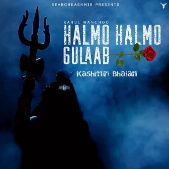 Halmo Halmo Gulaab Kashmiri Bhajan by Rahul Wanchoo