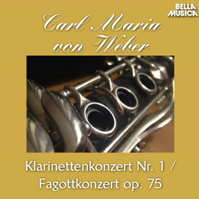 Fagottkonzert in F Major, Op. 75: I. Allegro ma non troppo