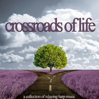 Crossroads of Life - A Collection of Relaxing Harp Music for Meditation, Strength Renewal, Yoga, Sleep, And Centering Energy by Jan van Reeth