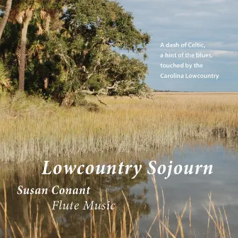 Lowcountry Sojourn by Rafael Popper-Keizer