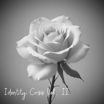 Identity Crisis Vol. II by No Otoko