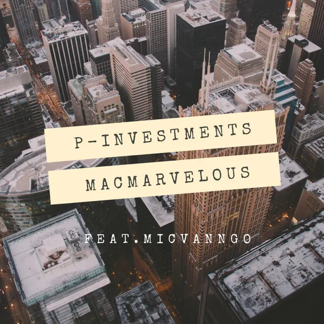 P. Investment