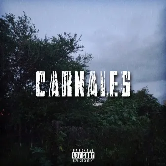 Carnales by Bullboy