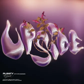 Upside by PLS&TY