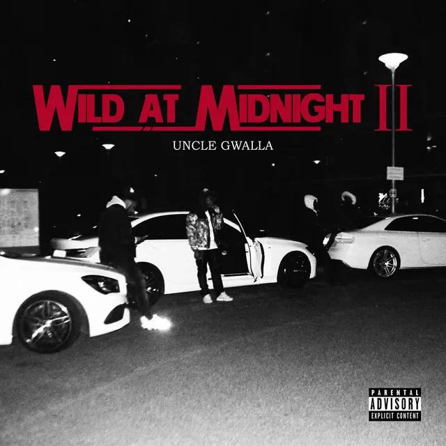 Wild at Midnight 2