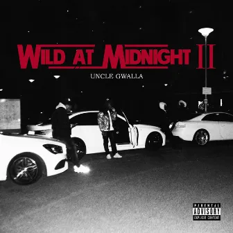 Wild at Midnight 2 by Uncle Gwalla