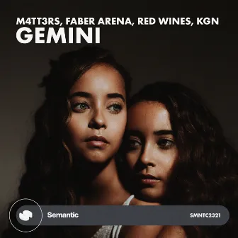 Gemini by Red Wines