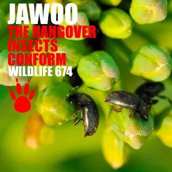 The Hangover EP by Jawoo